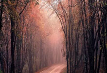 葡萄牙对阵加纳，这场世界杯对决有哪些看点和关键因素？